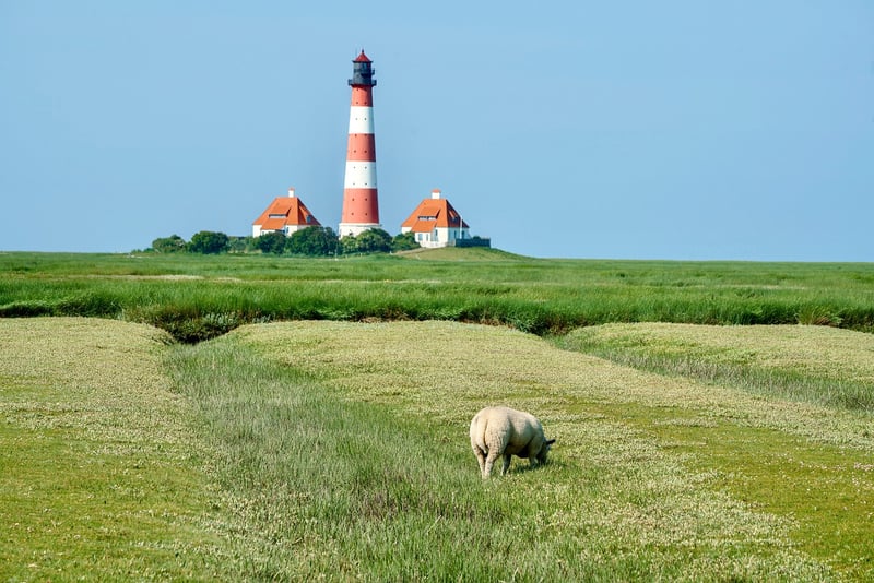 Netherlands Map